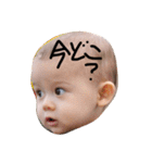 Kenzo 9 months（個別スタンプ：11）