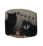 ロコ ラム ヤマト（個別スタンプ：8）