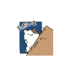 我家のねこさん（個別スタンプ：8）