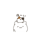 我家のねこさん（個別スタンプ：16）