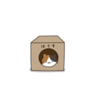 我家のねこさん（個別スタンプ：33）