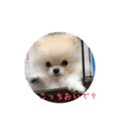 だいふくの日常2（個別スタンプ：5）