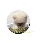 だいふくの日常2（個別スタンプ：7）