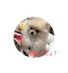 だいふくの日常2（個別スタンプ：8）