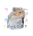 ポッキーとラッキー（個別スタンプ：2）