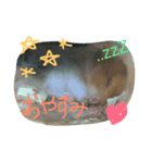 ポッキーとラッキー（個別スタンプ：3）