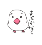 ひとことアニマル（個別スタンプ：40）