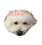 リュウケイくん（個別スタンプ：1）
