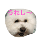 リュウケイくん（個別スタンプ：2）