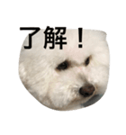 リュウケイくん（個別スタンプ：3）