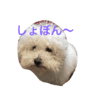 リュウケイくん（個別スタンプ：5）