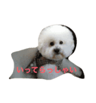 リュウケイくん（個別スタンプ：6）