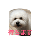 リュウケイくん（個別スタンプ：8）