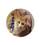 モナ男さん（個別スタンプ：2）