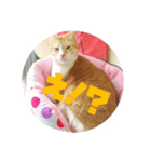 モナ男さん（個別スタンプ：4）