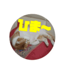 モナ男さん（個別スタンプ：7）