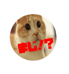 モナ男さん（個別スタンプ：8）