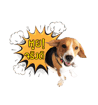 JabJengJerd（個別スタンプ：9）