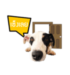 JabJengJerd（個別スタンプ：11）