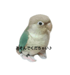Love Bird ！（個別スタンプ：2）