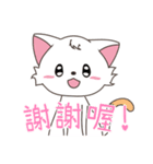 Small white cute meow（個別スタンプ：12）