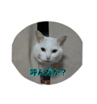 uyu-FRIEND（個別スタンプ：7）