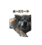 uyu-FRIEND（個別スタンプ：8）