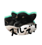 uyu-FRIEND（個別スタンプ：12）