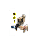 uyu-FRIEND（個別スタンプ：16）