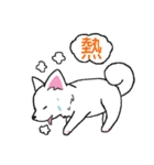 Fox dog hair ball（個別スタンプ：19）