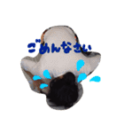 なおちゃんだよん（個別スタンプ：5）