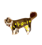 猫どうし（個別スタンプ：5）