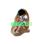 Rui's stickers 01（個別スタンプ：19）