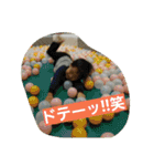 Rui's stickers 01（個別スタンプ：24）