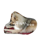 ponta gokoro（個別スタンプ：8）