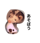 たろちゃんpart1（個別スタンプ：5）