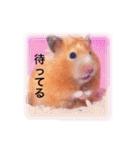 はむらんどpart3（個別スタンプ：3）