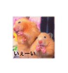 はむらんどpart3（個別スタンプ：4）