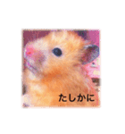はむらんどpart3（個別スタンプ：8）