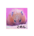 はむらんどpart3（個別スタンプ：11）