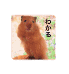 はむらんどpart3（個別スタンプ：12）