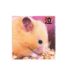 はむらんどpart3（個別スタンプ：15）