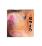 はむらんどpart3（個別スタンプ：21）