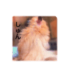 はむらんどpart3（個別スタンプ：23）