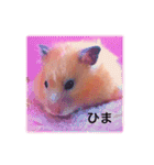はむらんどpart3（個別スタンプ：24）