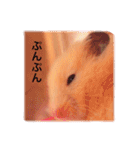 はむらんどpart3（個別スタンプ：32）