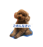 じゅえるくん（個別スタンプ：5）