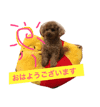 じゅえるくん（個別スタンプ：6）