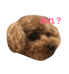 じゅえるくん（個別スタンプ：7）
