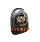 フクのスタンプ（個別スタンプ：1）